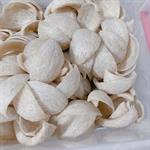TỔ YẾN TINH CHẾ - YẾN SÀO LÊ HẰNG TLC