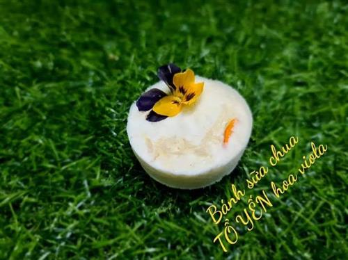 BÁNH SỮA CHUA TỔ YẾN- LÊ HẰNG TLC